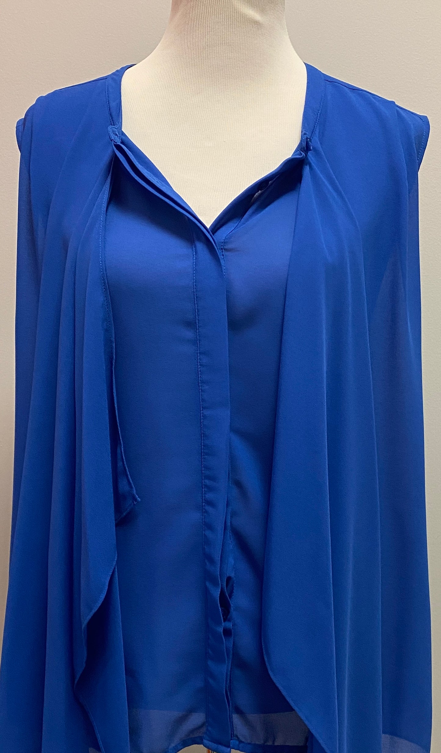 The magic of Stevie & Linsday Blue Blouse (XL) image 1