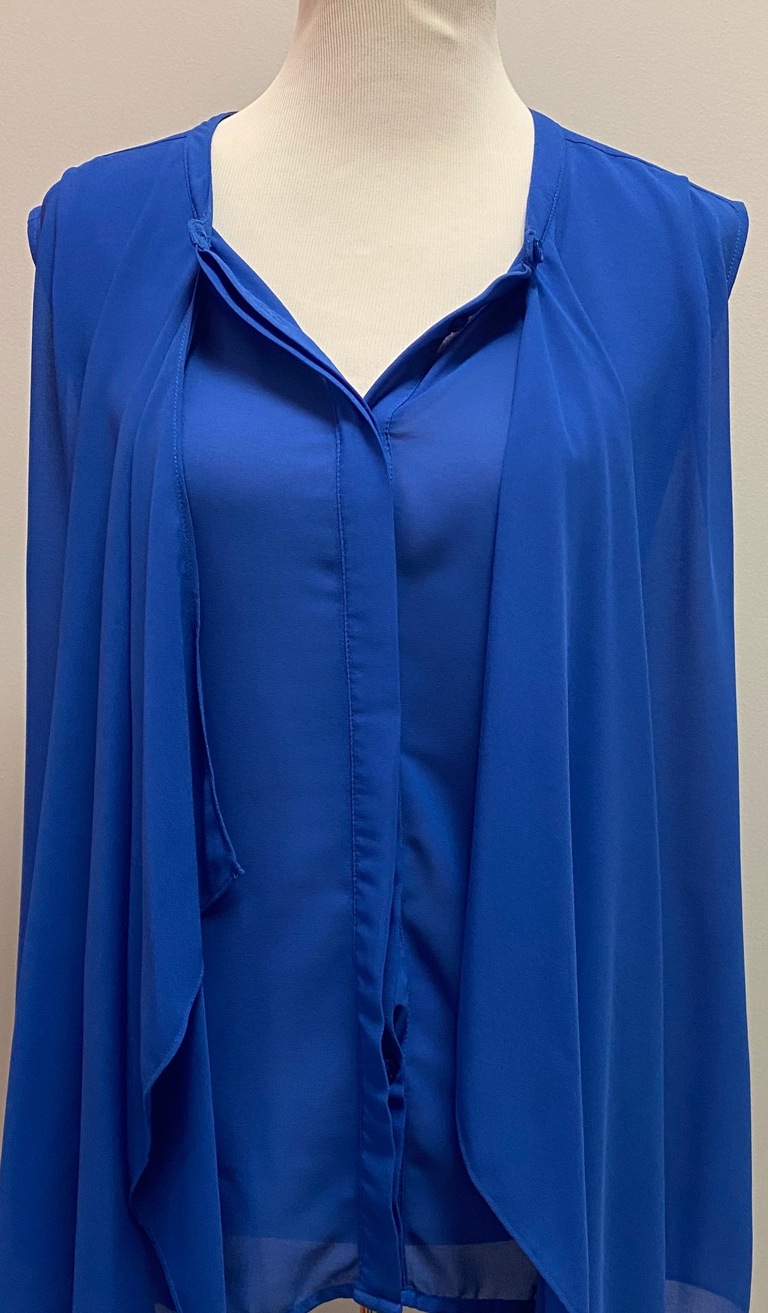 The magic of Stevie & Linsday Blue Blouse (XL) image 1
